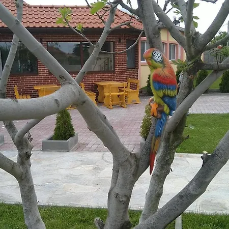 Guest house Къща За Гости Щъркелите *